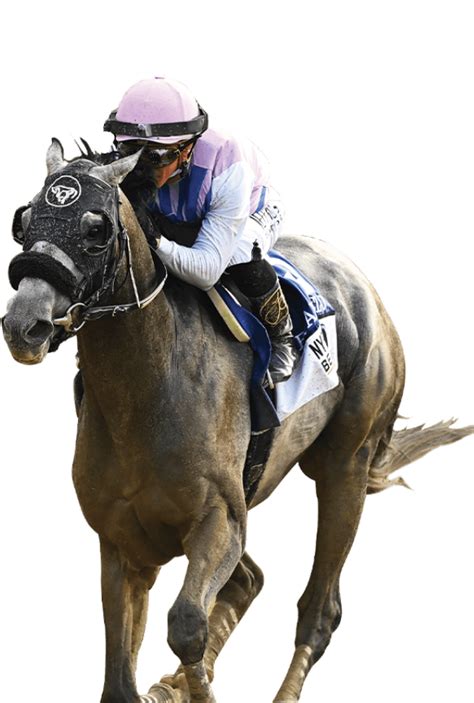 Bet Saratoga .
